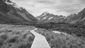path resize