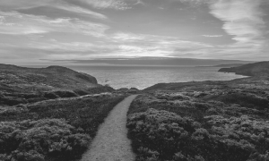 picture of a path to sea
