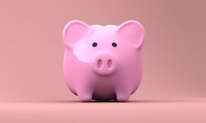 pink piggy bank