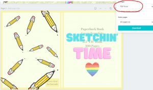 downlaod as a pdf file